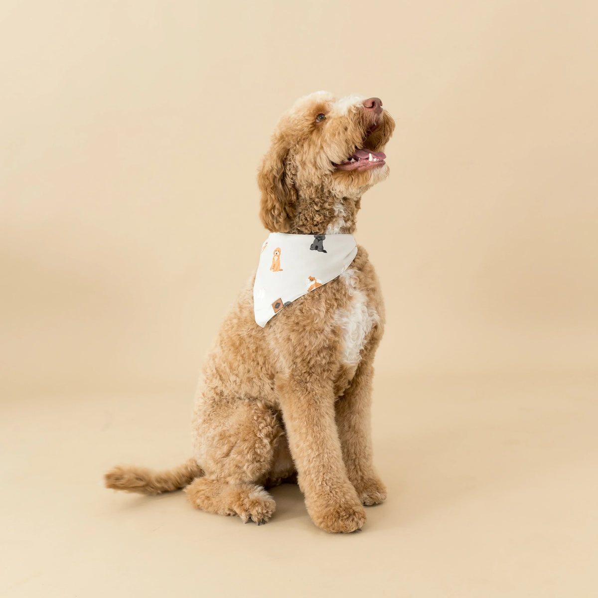 Dog Bandana in Fluffy Dog